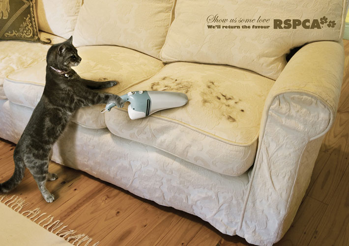 RSPCA